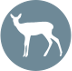 Doe Deer Silhouette icon